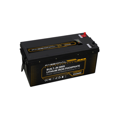 Lithium 12v die 250ah Lood Zure Batterijen het vervangen maakt LiFePO4 waterdicht