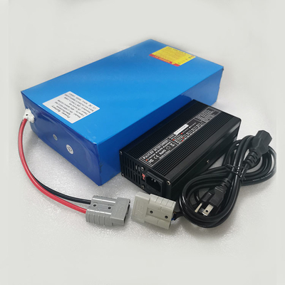 De elektrische Autoped past Batterij van de het Lithium de ionenmacht van 48v 40Ah met Lader aan