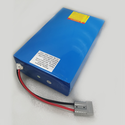 De elektrische Autoped past Batterij van de het Lithium de ionenmacht van 48v 40Ah met Lader aan
